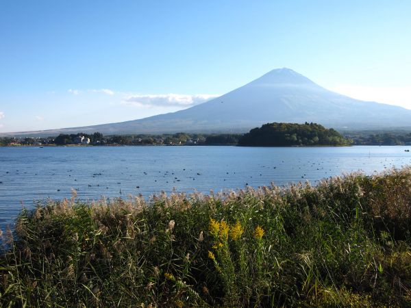 Mt. Fuji